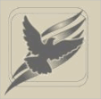LOGO Publisher and Web Design Studio